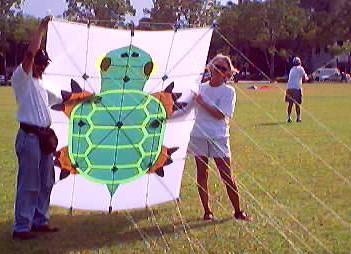 turtle.JPG (21913 bytes)